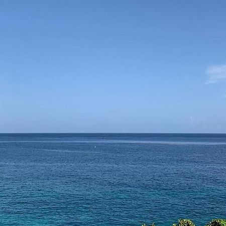 Вілла Irie Vibes Ocean View Негрил Екстер'єр фото